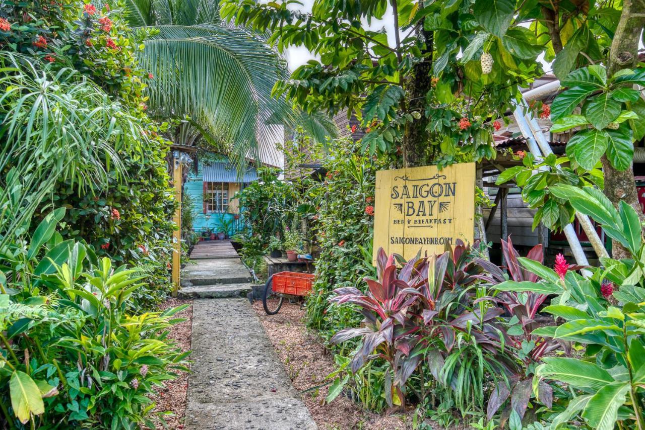 Saigon Bay Bed & Breakfast Bocas del Toro Exteriör bild